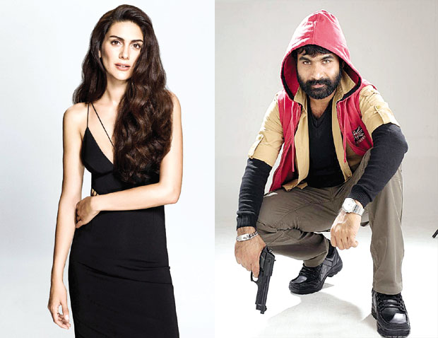 Шехерезада осваја Коливуд